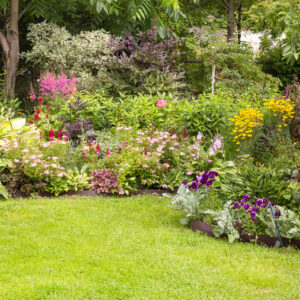 Beautiful colorful flower garden with blooming flower beds and a